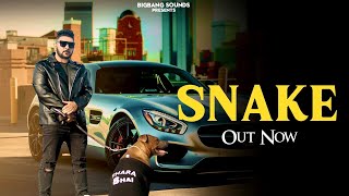 Snake  Sunny Boi Singh Music Video Latest Haryanavi HipHop song 2024 Haryanvi Song [upl. by English]