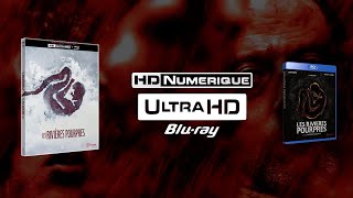 The Crimson Rivers 2000  4K Ultra HD vs Bluray Comparison [upl. by Groome]