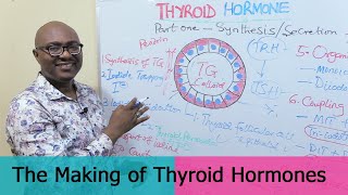 Thyroid Hormones –1 Synthesis and Secretion [upl. by Africah]