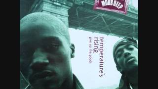 Mobb Deep  Temperatures Rising Feat Crystal Johnson [upl. by Gerfen770]