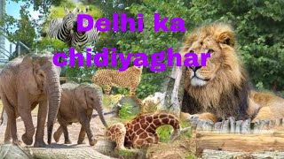 Delhi ka chidiyaghar full video vlog [upl. by Irmgard]