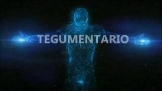 Enfermedades del sistema tegumentario [upl. by Sukramed]