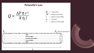 Poiseuilles law [upl. by Michal199]