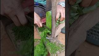 The way to dry Tobacco leaves🌱shorts viralvideo [upl. by Arriaes]