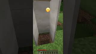 Why All These Villagers Went Crazy shorts meme minecraft [upl. by Jacquelyn]