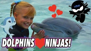 We Played and Swam with Dolphins Bahamas II Ninja Kidz TV [upl. by Asiuol21]