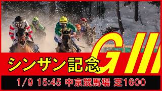 重賞予想 2022年1月9日 シンザン記念 【過去データ＋推奨馬・対抗馬紹介動画】 [upl. by Alesram]