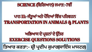 Transportation in animals and plantsCh11 Scienceclass 7thExercise solutions in punjabi [upl. by Bysshe327]