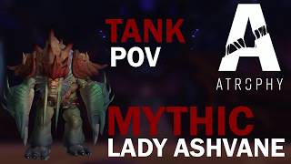 Mythic Lady Ashvane  Blood DK PoV [upl. by Nylasoj]