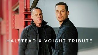 Jay Halstead x Hank Voight Tribute Chicago PD [upl. by Esirahc880]