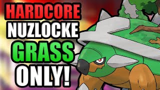 Pokémon Platinum Hardcore Nuzlocke  Grass Types Only No items no overleveling [upl. by Wagner]