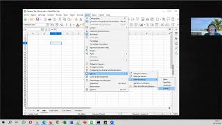 Macros Python pour LibreOffice Calc [upl. by Ainslee780]