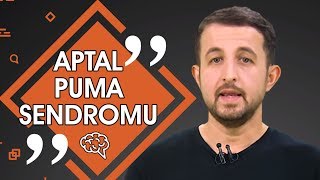 Enerjini boş işlerle tüketme Aptal Puma Sendromu  Fikir Hastası 🧠 [upl. by Llewen]