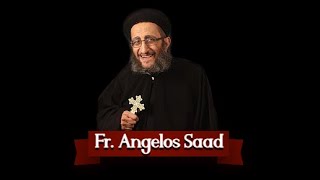 Fr Angelos Message July 20 2021 [upl. by Noffihc556]