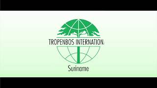 Tropenbos Suriname Making Knowledge Work for Forests amp People [upl. by Sixla454]