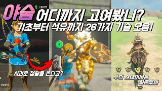 야숨 고인물 기술 모음 26가지 botw advanced skills [upl. by Assirehc134]