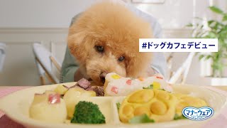 マナーウェアTVCM 「マナーウェア おでかけ広がる篇」字幕15秒 [upl. by Hanikehs]