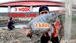 EP43  3 KILOS TILAPIA  3 hook Fishing line Tutorial is this effective [upl. by Nylirak]