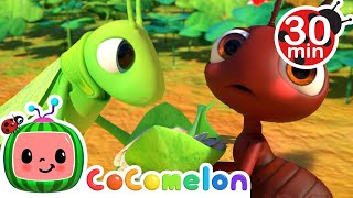 The Ant and the Grasshopper  Cocomelon  Learning Videos For Kids  Education Show For Toddlers [upl. by Engedi101]