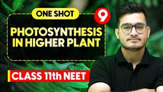 PHOTOSYNTHESIS IN HIGHER PLANTS  Complete Chapter in One Video  ConceptsPYQs  Class 11th NEET [upl. by Assetnoc725]