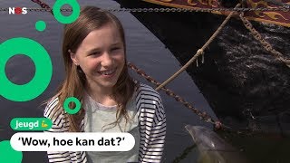 Dolfijn blijft in de buurt van Lieve [upl. by Anerb745]