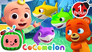 Baby Shark  Rainbow Version Fantasy Animals  CoComelon  Animal Time  Nursery Rhymes for Babies [upl. by Dickinson501]