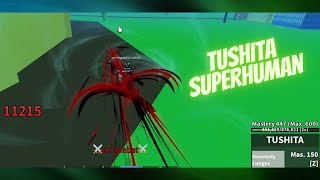 EPIC TUSHITA  Superhuman Combo  Blox Fruits  Roblox [upl. by Aivon166]