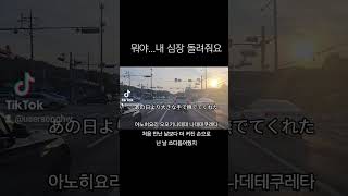 가사미쳤어 leo yuuri 노래 추천 커버 [upl. by Rifkin]