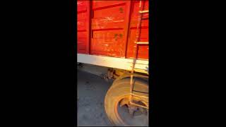 1979 INTERNATIONAL GRAIN TRUCK For Sale [upl. by Rehpotsirhc]