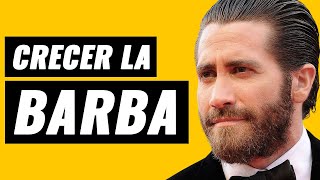 ✅ Cómo hacer CRECER LA BARBA RÁPIDO 🔥🚀 [upl. by Assenev]