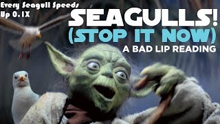 quotSEAGULLS Stop It Nowquot Every Seagull Speed Up 01X [upl. by Dahraf748]