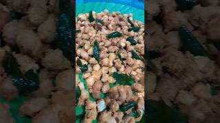 Masala kadalai recipe  Tamil tamilkitchen tamilfood tamilrecipes recipes cooking samayal [upl. by Asetal753]