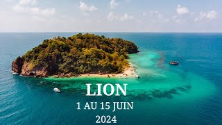 Lion ♌️ 1 au 15 Juin 2024  Une proposition importante 🙏 [upl. by Haroppiz679]