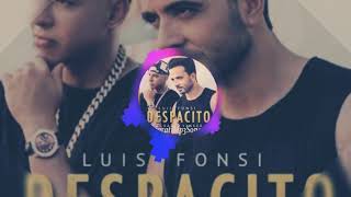 Despacito Pasito Mp3 Song  Spanish Song [upl. by Daffy]