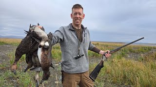 4 Days Hunting Ducks Geese amp Fishing Nome Alaska [upl. by Tadio]