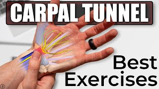 3 BEST Exercises for Carpal Tunnel Syndrome [upl. by Chatav954]