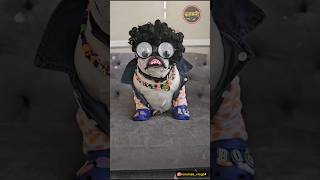 सदा हेकणे😆😂🤣😅 shorts viral comedy dubbing funnyanimals karamati karamativlog funnydog [upl. by Arretal]