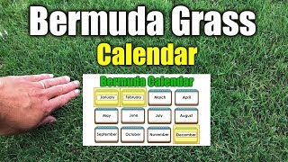 Bermuda Grass Calendar Please See New Calendar in Description [upl. by Raybourne63]