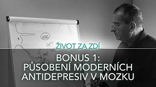 BONUS 1 PŮSOBENÍ MODERNÍCH ANTIDEPRESIV V MOZKU [upl. by Auqenahs]