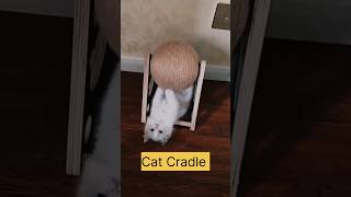 Cat Cradle 😺 youtubeshorts shorts [upl. by Wilkinson]