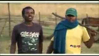 Hawi Tezera  Abichu New Oromo Music 2013 [upl. by Allerus312]