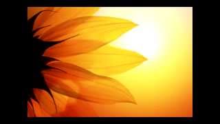 Chillout  Sounds of Isha  Neem and Turmeric [upl. by Frear]