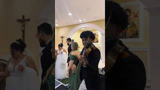 Casamento violino casamento violin music [upl. by Haneehs168]