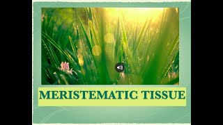 MERISTEMATIC TISSUE CBSE CLASS IX AND FOR NEET [upl. by Nymrak]