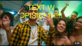 ♪ PALION  ZIELONE feat NeoN1hTEXT W OPISIĘ [upl. by Assil]