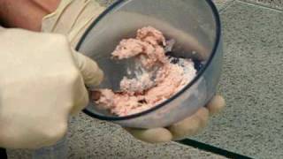 UCDH Dental Materials Lab Alginate Mixing Demonstration 1 [upl. by Jahdol601]