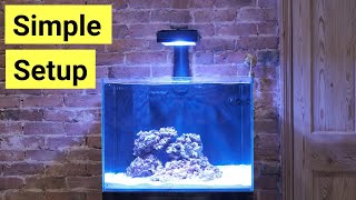 How To Set Up A Saltwater Aquarium For Beginners [upl. by Hesper]