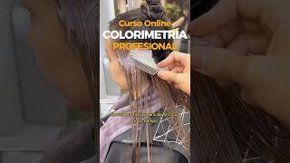 🌈COLORIMETRÍA CAPILAR balayage cursoonline estilistas colorimetria loreal mezclasdetintes [upl. by Aznarepse]