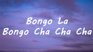 Bongo Cha Cha Cha Lyrics  Caterina Valente  Bongo La Bongo Cha Cha Cha Tiktok Song [upl. by Hackney]