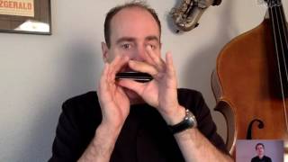 David Barrett on tongue blocking Harp to Harp 12 harmonica interview by Liam Ward [upl. by Annaohj306]